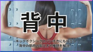 キックボクシングにも重要！！背中の筋肉の種類、鍛え方やメリットを解説。